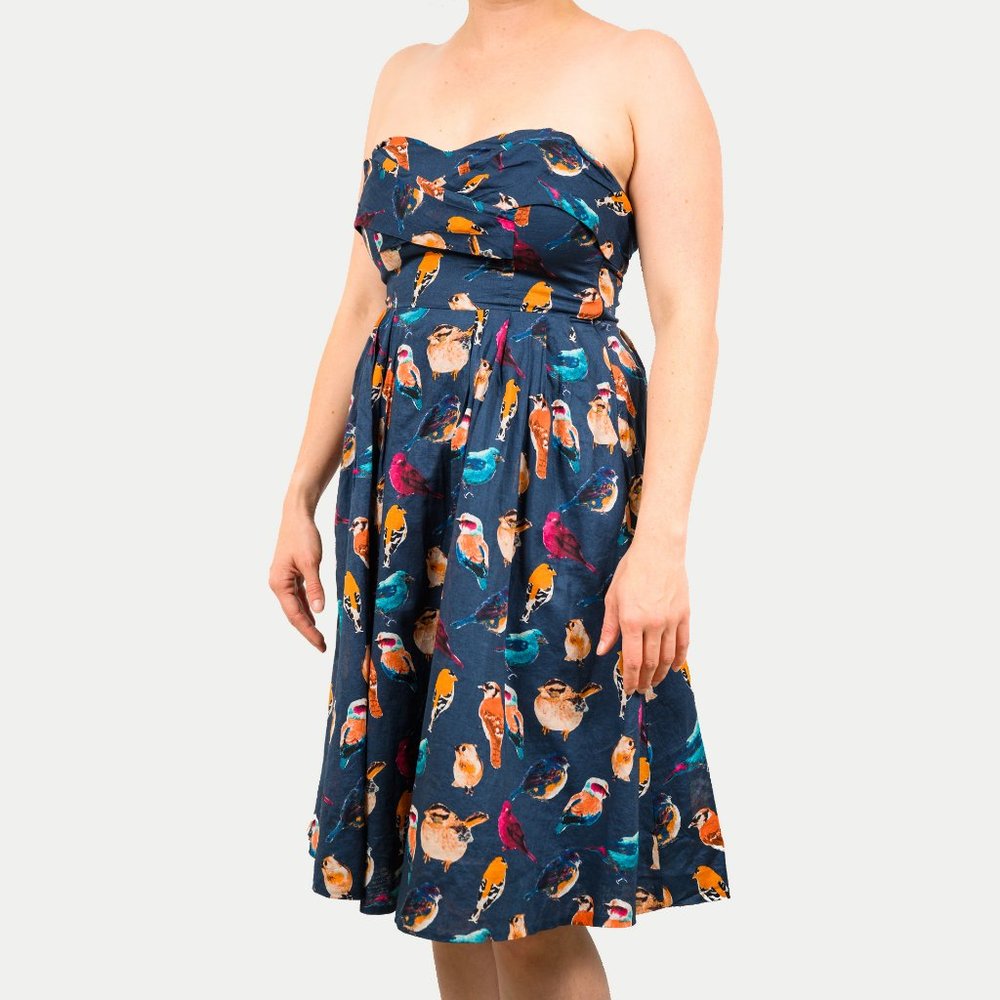Anthropologie Maeve Native Birds Dress
